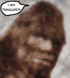 sasquatch.jpg